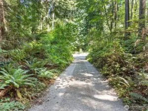 View from driveway towards road