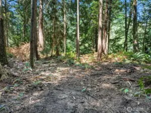 East side of property