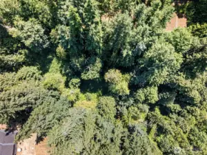 Drone above property