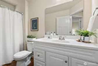 Full bath on lower level