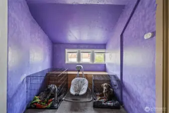 Kennel area for dogs or storage.