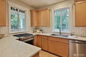 Updated stainless steal appliances