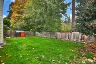 Spacious backyard
