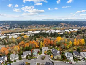 Overlooking the Woodinville valley