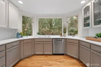 Bright kitchen workspace with quartz counters, stainless steel dishwasher, and oversized windows overlooking lush greenery—bringing natural light and a serene backdrop into the heart of the home.