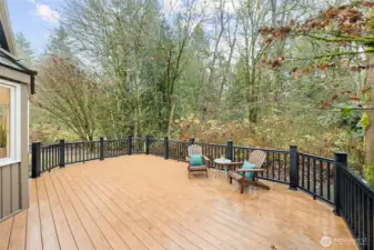 Generous outdoor deck overlooking a peaceful, wooded backdrop—perfect for lounging, dining, and enjoying year-round privacy in a tranquil setting.