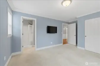 Large main level bedroom is perfect MIL with entrance off the main entry hall with adjoining 3/4 bath or use as a den/office.