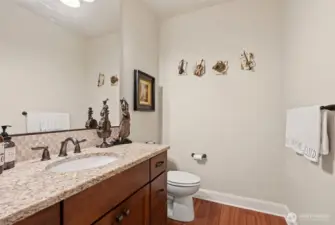 Guest bathroom