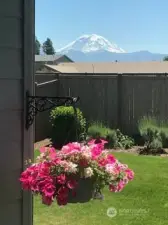 Enjoy beautiful Mount Rainier views from the great room, primary suite, and backyard patio