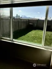 Beautiful Rainier View