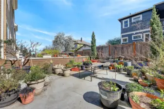 Community garden space.