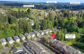 You will be amazed at this convenient location. Nestled among the trees, yet just moments away from so many amenities! Just a few blocks away, you can stroll to Rainier Vista Park, with 46 acres of soccer & baseball fields, tennis & pickle ball courts, sand volleyball, basketball, covered picnic shelters, picnic tables, restrooms, paved walking paths, and a skate park for the beginner and intermediate participants, all with sweeping Mt. Rainier views. They also put on a stellar firework display every year for the community on July 3rd. The Amtrak station is less than 10 minutes away, as well as the best burgers around (in my opinion) at Van's Burger off Yelm Hwy.