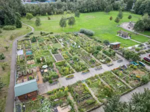 Blueberry Park Co-Op Garden off Sylvan Way