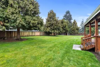 Spacious Backyard