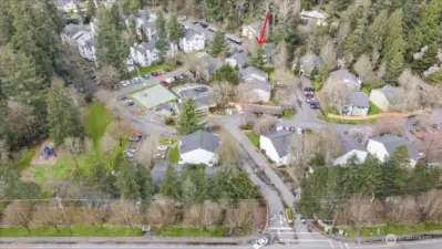Overall View of the Community