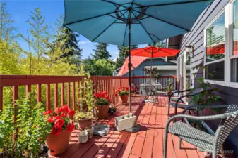 Sunny deck in the afternoon off of dining and kitchen