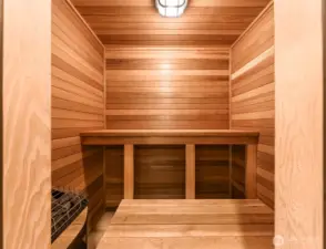 Sauna in the main floor bathroom