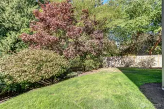 “Fenced backyard with patio and lawn, backed by 6.8 acres of protected greenbelt—perfect for entertaining, play, and pets.”