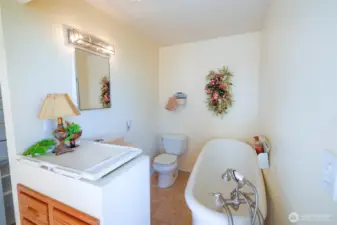 Beautiful soaker tub