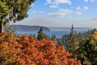 Puget sound and Mt Rainier views from the livingroom, dining room and Master bedroom.