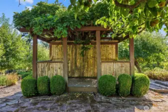 Have an outdoor picnic.