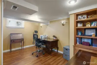 Downstairs office