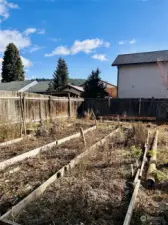 Garden beds inside fence.