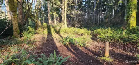 Well head on the southwestern portion of the property.