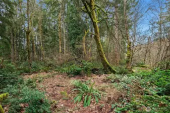 Several glades are available for your development dreams.