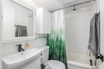 Primary Bath