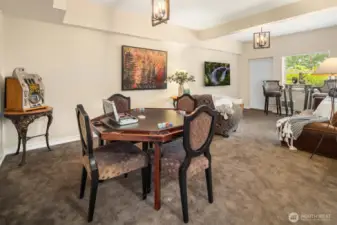 Lower Level ADU with tall ceilings, large living room, kitchen and separate washer/dryer