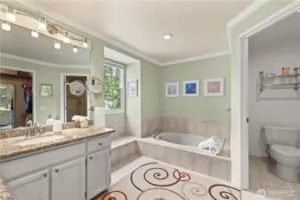 Primary 5 piece bath. Granite countertops. Crown molding even in the bathroom!