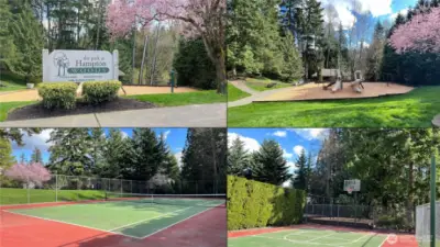 Community park!