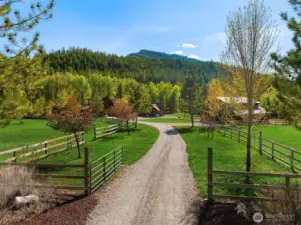 Beautiful tree lined drive greets guests