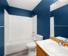 Hallway bathroom.