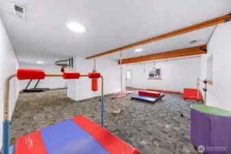 Lower Level/Basement
