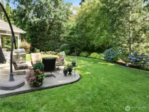 The view can never be changed or removed.  The Native Growth Protection Easement is permanent.