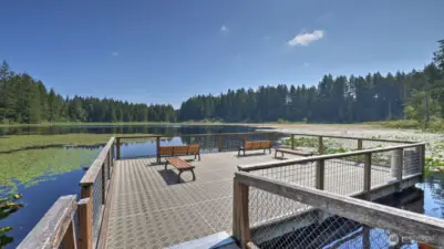 This is Yellow Lake in the middle of Klahanie. The access is on this gorgeous walk-out wood path to the floating dock.