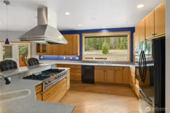 Corian counters, double corian sinks, tons of storage & a large pantry.