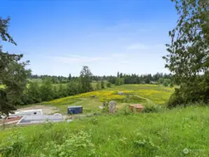 Back of Home site