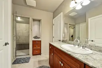 Lower level steam shower and 3/4 bath.