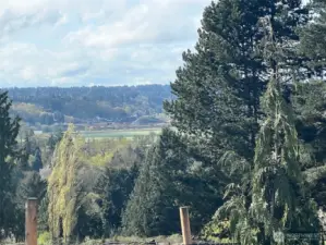 VIEWS! VIEWS! VIEWS!