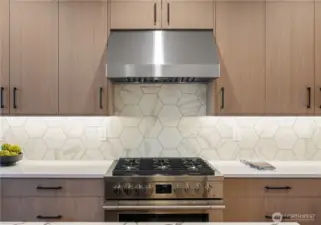 S/S hood and gorgeous tile backsplash