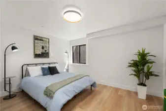 Lower level very large bedroom