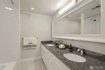 Lower level full bathroom.