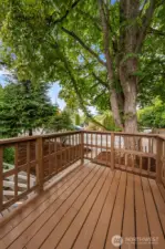 Patio, View of Street
