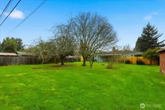 Large, Fenced Backyard with Fruit Trees
