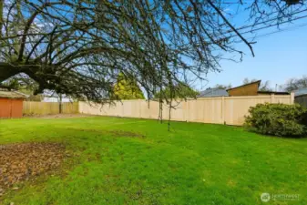 Fenced Backyard