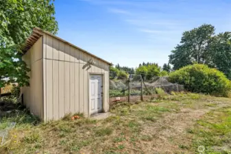 Wonderful double coop - separate the roosters to one, or raise chickens and turkeys - lots of options here.