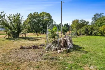 This huge stump is what's left of the 'jewel' of this property, a grand 174 yr old butternut tree, brought from Missouri by the Bush family in 1845. The owners were broken-hearted when a windstorm took the tree down a few years back, and were elated to see a new descendant tree growing out of the rubble! You’ll find 2 more grand old descendants of the original tree, one as you travel the driveway in front, and one just to the rear of the home.